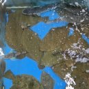 죽변수협회센타 이미지