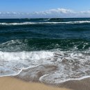 가족들과 함께 떠나기 좋은 국내 여행지 이미지