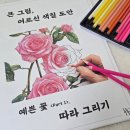 피코벨로 | 치매예방에 도움되어 부모님께 선물하기 좋은 시니어 컬러링북 피코벨 큰 그림, 어르신 색칠 도안