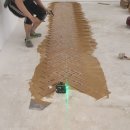 골든헬스클럽 이미지