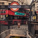 잉글리시버드학원 | 송파구 영어유치원 어디가 좋을까? 입소문난 인기 원 총정리