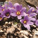 대촌마을(덕우리) 이미지