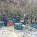 한솔농장 이미지