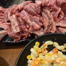 불타는갈매기 이미지