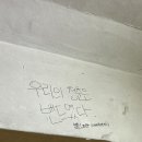 청춘풍선 이미지