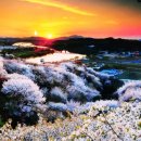 이광주스튜디오 이미지