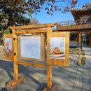 보게트
