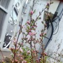 잠실3동주민센터 이미지