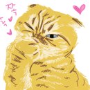 난니꼬양 이미지