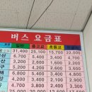 천일여객 영산정류소 이미지