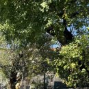 아침햇살약국 이미지