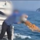 통영해양경찰서 전용부두 | 통영해경 경비정 한려해상국립공원 음식물쓰레기 투기 및 감찰 착수