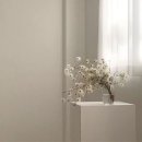 솜솜네일 이미지
