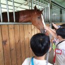 구미곤충산업농장 이미지