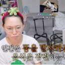 똥끼들 한문장으로 요약하기 이미지