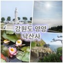 행운차유리 | 강원도 여행 양양 낙산사 바다보이는 절 해수관음상 홍련암 한가지 소원 여름휴가지 추천 후기