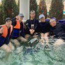 고덕IC주유소 이미지