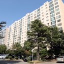 럭키아파트_상 이미지