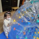 데구르르 이미지