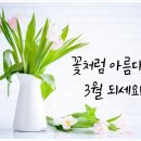 배재로 이미지