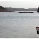 천리포선착장 이미지