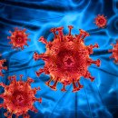 ㈜허브사이언스 부산지점 | 바이오 공급망, 이중 압박 현실화!