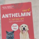 목동제일큰약국 이미지