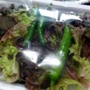 석쇠한판불고기 이미지