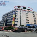 꼬뜨리아 이미지