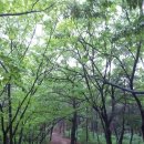 도원공원 농구장 이미지