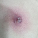 프라임강북점의원 이미지