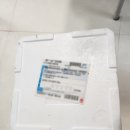 올바른푸드 | 올바른푸드 전라도포기김치 먹어본 후기! 전라도젓갈김치의 깊은 맛