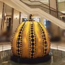 세화미술관 | 서울 무료전시) 야요이 쿠사마 작품전 in 세화미술관