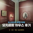 모차르트 콘서트홀 | 비엔나 여행 모차르트 하우스 방문 후기와 비엔나 패스 비엔나 가볼만한 곳