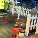 맛그랑치킨 이미지