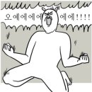 투헤어