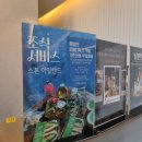 리에또 오션뷰 수영장 풀빌라 | 오션뷰 버블 수영장 여수 가성비 숙소 "스톤아일랜드 풀빌라 디럭스" 솔직후기