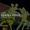 [천안 아라리오 조각광장] ✨ 천안의 빛 in 아라리오 ✨ 전시 후기