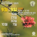 가톨릭기후행동 제 126차 광화문 금요기후행동 9. 9 이미지