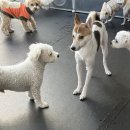 놀러오개 서대문점 이미지