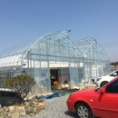 대현그린농장 | 청주꽃다육방문기^^ 너무 이쁘지말입니다ㅋ 청주다육농장 주중동 꽃다육*^^*