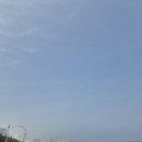 금이상회