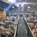 경남농장 이미지