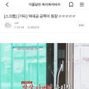 얘들아 우리 직시들 보여줄건데 댓글 이쁘게 달아라 이미지