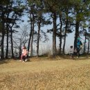 백운초교병설유치원 Daum카페
