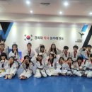 경희대 문무 태권도장 이미지