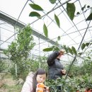 규리 농장 이미지