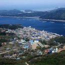 충남 보령 봄 여행지 주목, 드라마·영화 촬영지 3곳 인기 이미지