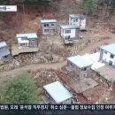 도토리요정숲