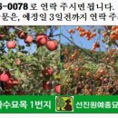 엽록소㈜ 이미지